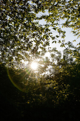 NANINE RENNINGER _ PHOTOGRAPHY