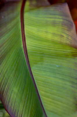 NANINE RENNINGER _ PHOTOGRAPHY